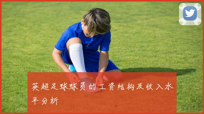 英超足球球员的工资结构及收入水平分析