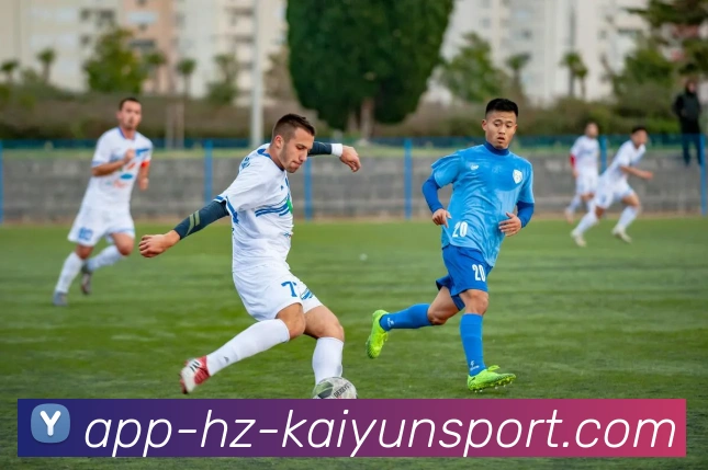 开云APP发展历程